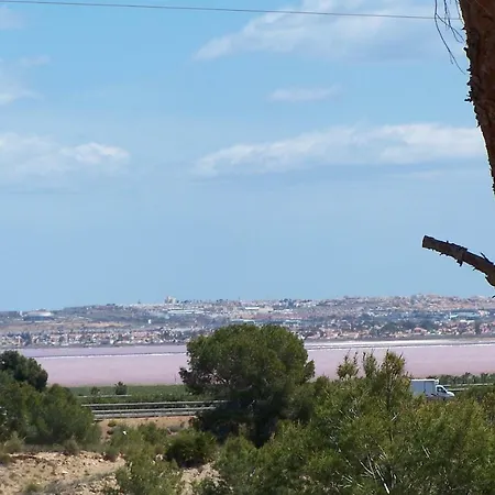 Im Pinienwald Torrevieja